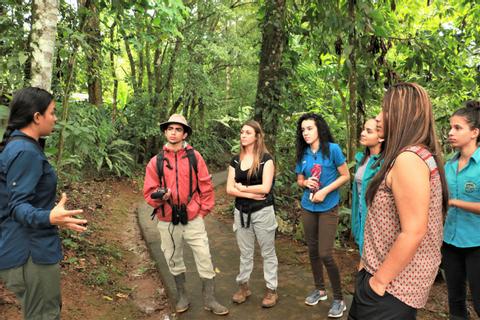Caminata Guiada en la Selva Tropical de Sarapiquí